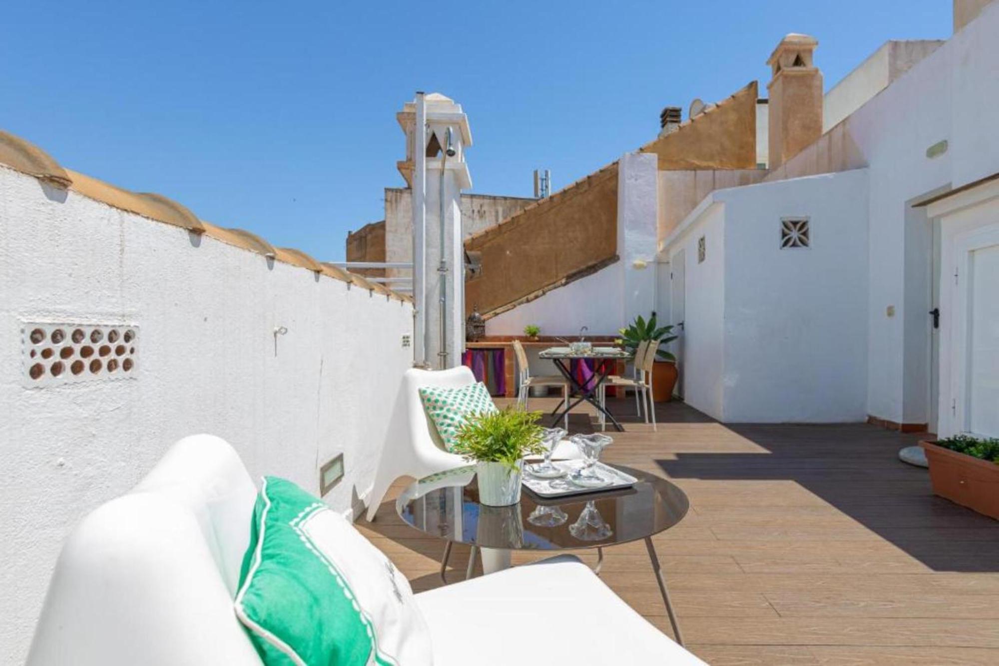C20 - Adorable Apartment In The Center With Sun Terrace Málaga Extérieur photo